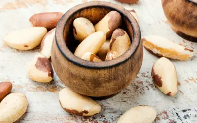Brazil nuts recipes