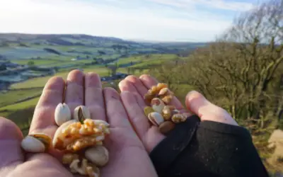 Best Nuts For Hiking, types Of Mixed Nuts