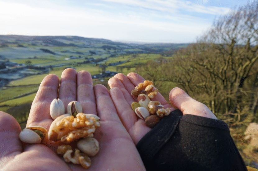 Best Nuts For Hiking, types Of Mixed Nuts
