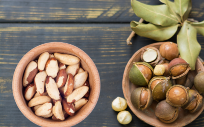 macadamia nuts vs Brazil nuts: Health benefits and Uses