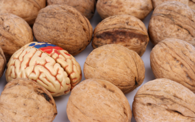 top 6 nuts and seeds for brain health