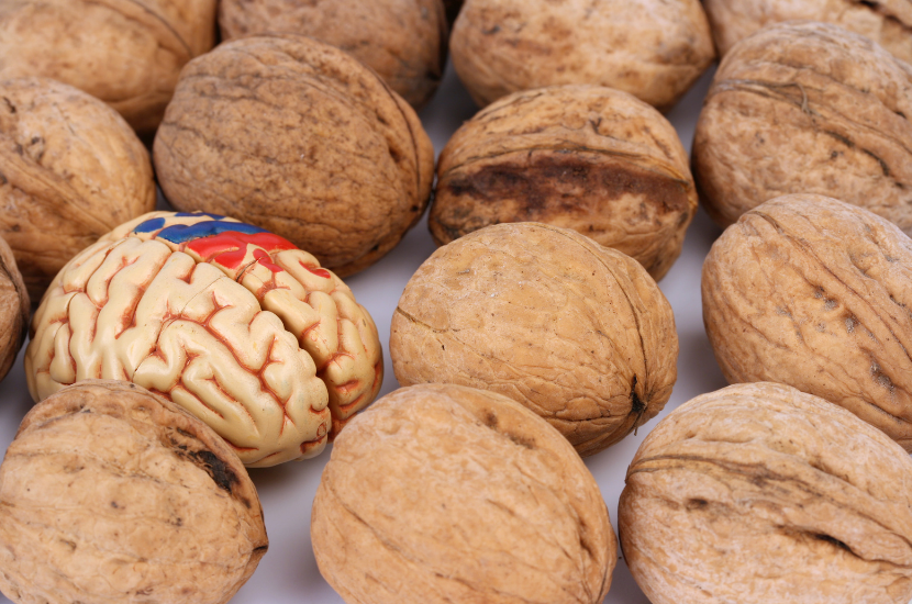 top 6 nuts and seeds for brain health