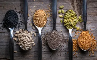 6 healthiest seeds to eat