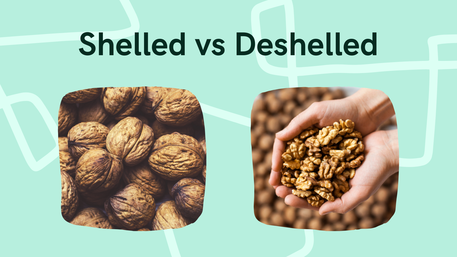shelled vs deshelled