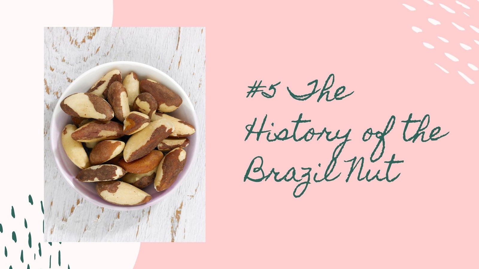 the history of the brazil nut