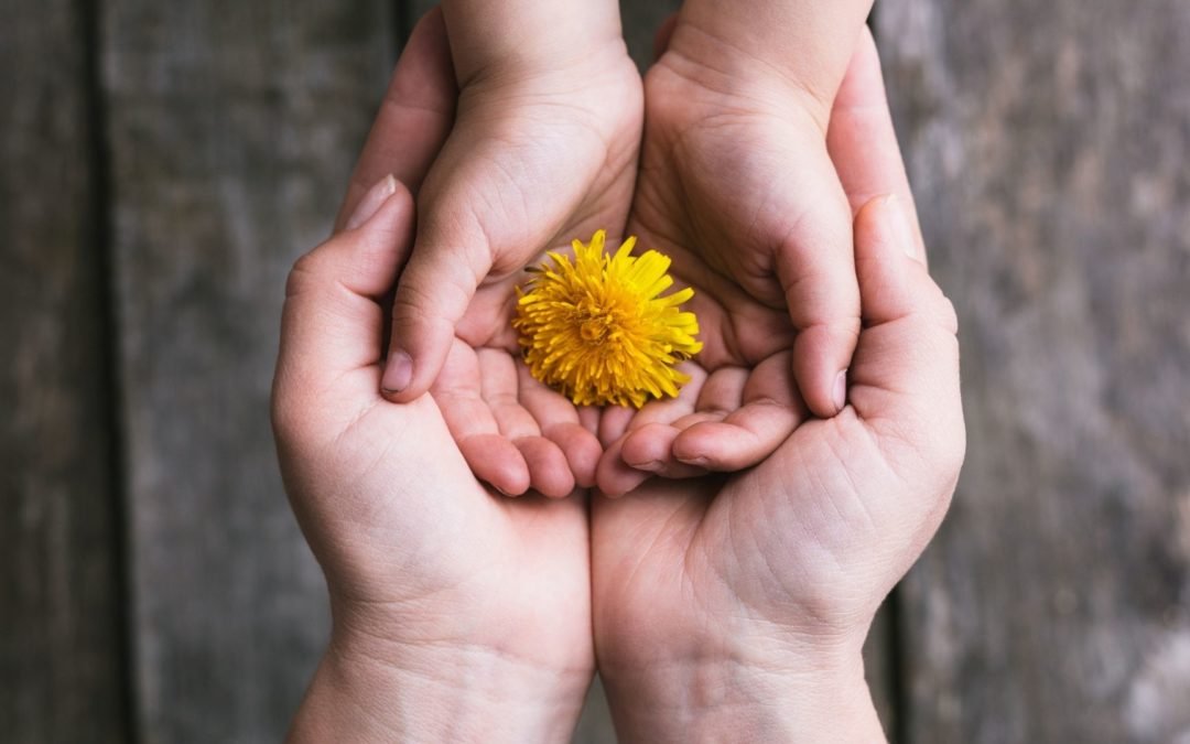 Dried Fruit For Children: What Are The Benefits?