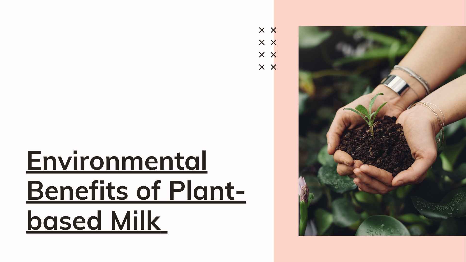Environmental Benefits Of Plant-based Milk