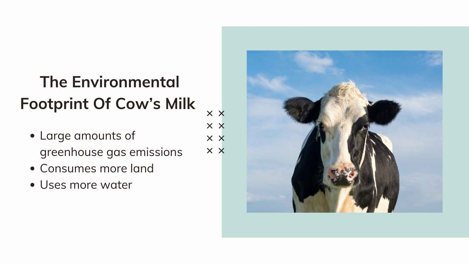 The Environmental Footprint Of Cow’s Milk 