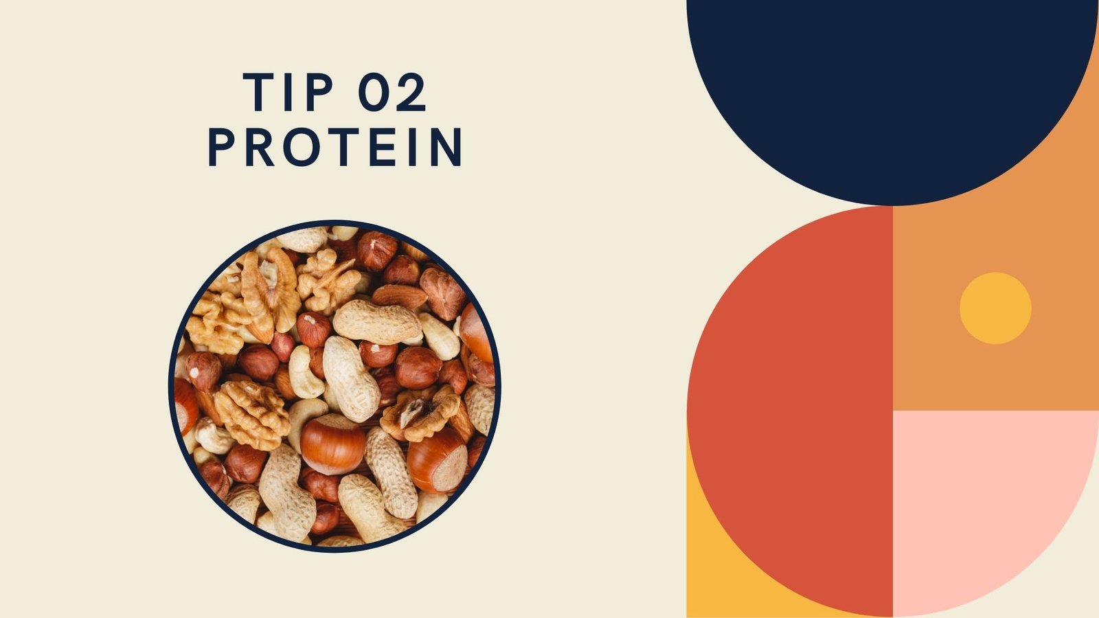 tip 2 protein