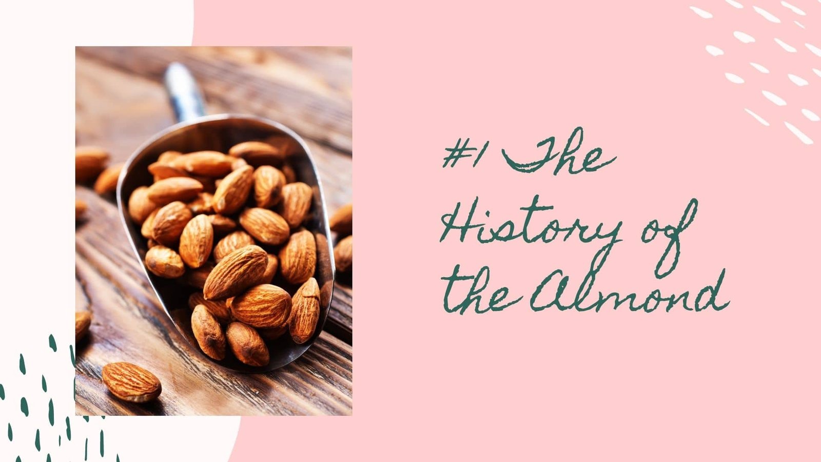 the history of the almond