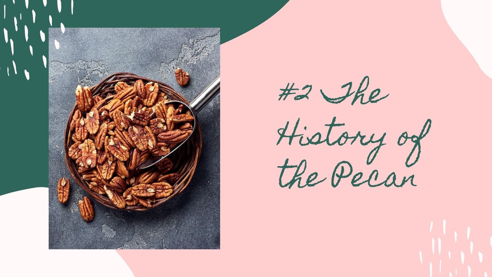 the history of the pecan