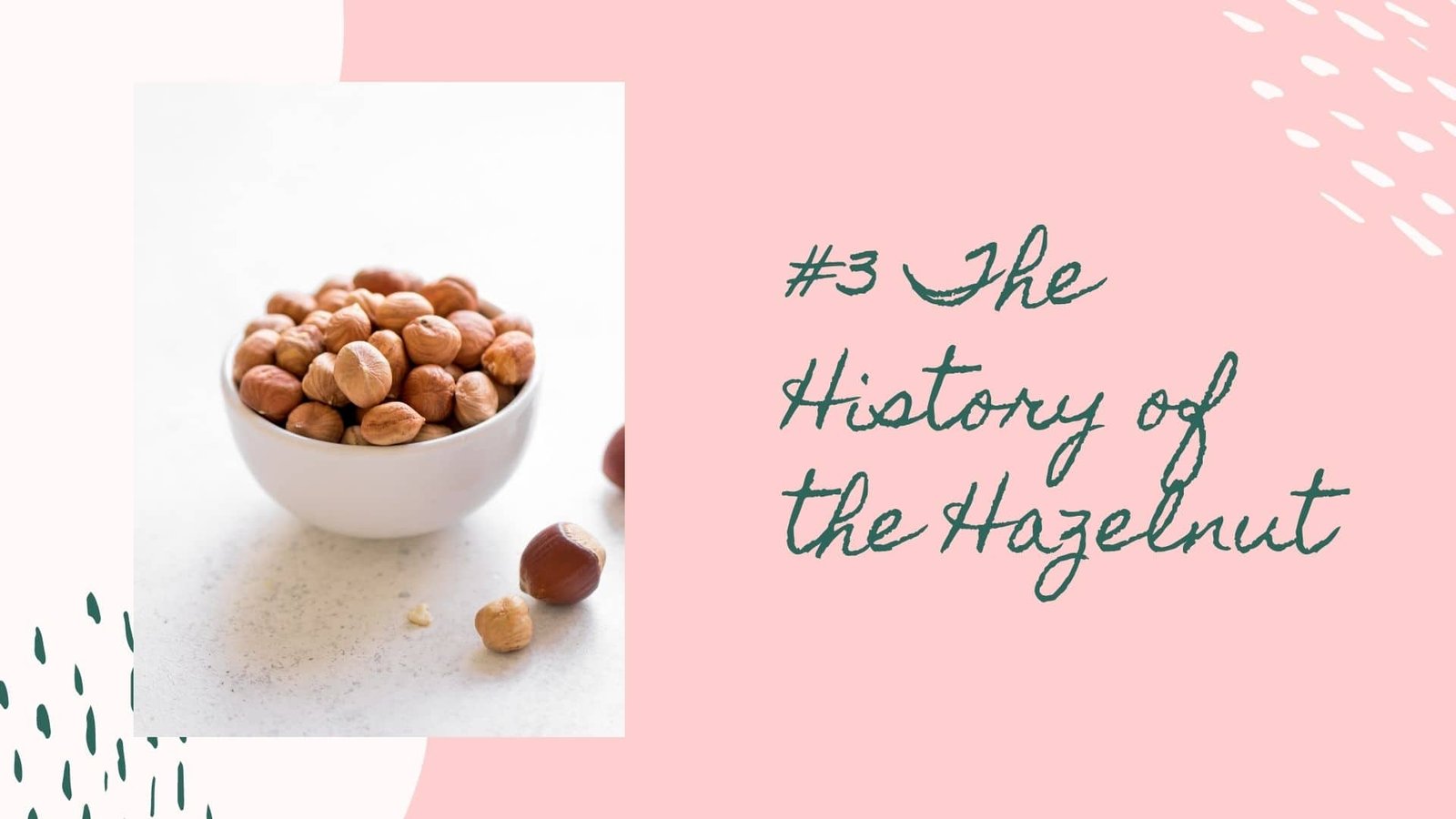 the history of the hazelnut
