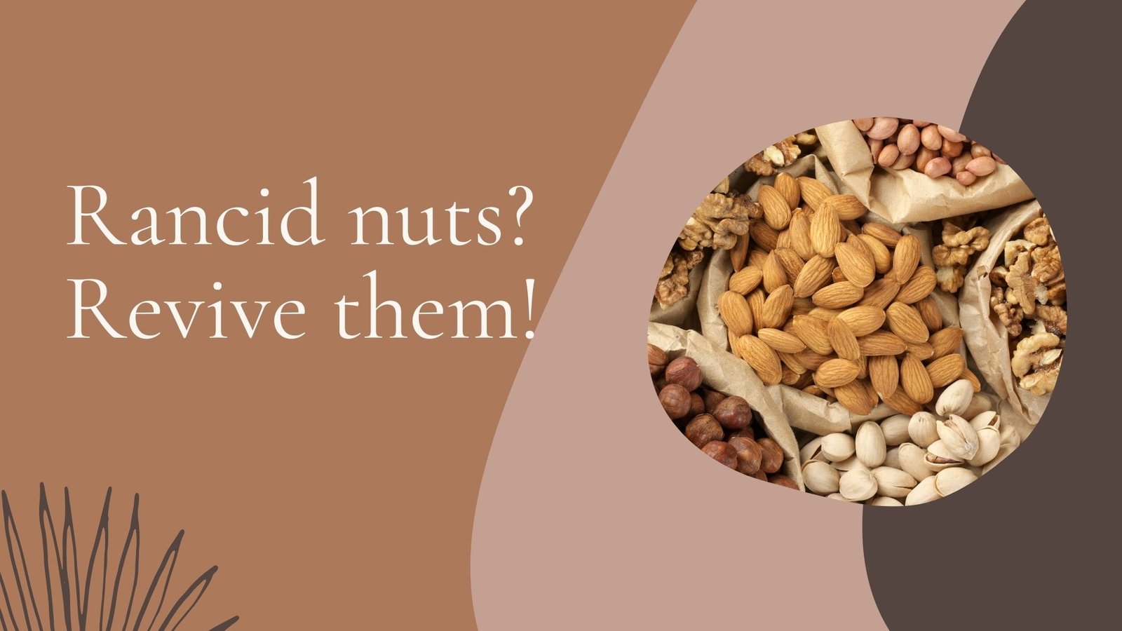 How to Store Nuts to Keep Them Fresh