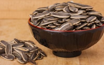 Sunflower Seed Recipes For Any Occasion
