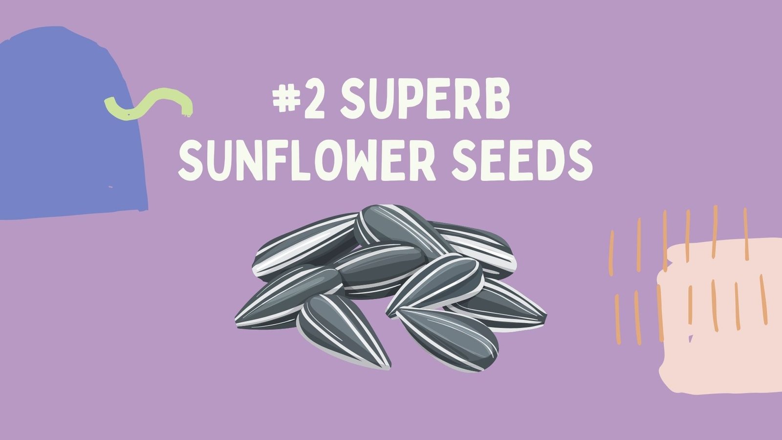 2 superb sunflower seeds