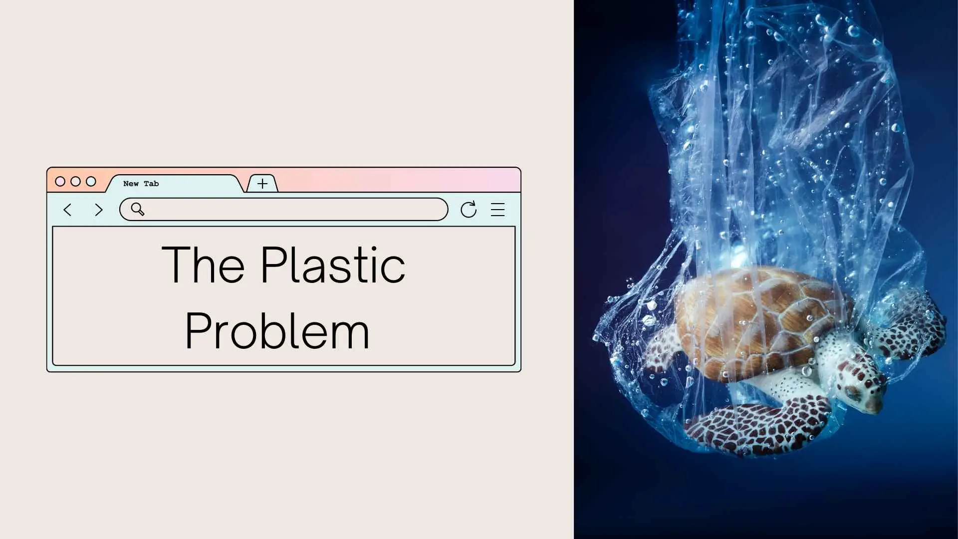 the plastic problem