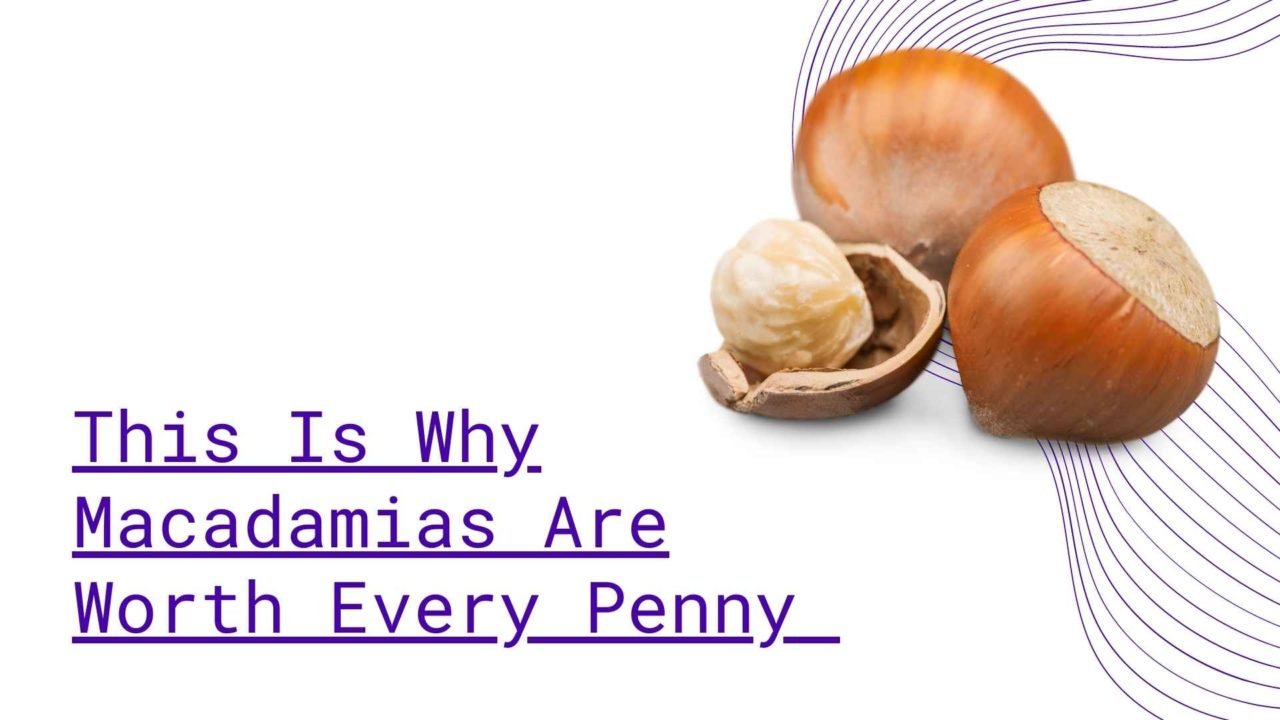 This Is Why Macadamias Are Worth Every Penny Nuts And Snacks Singapore