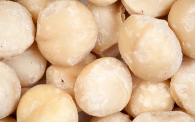 This Is Why Macadamias Are Worth Every Penny