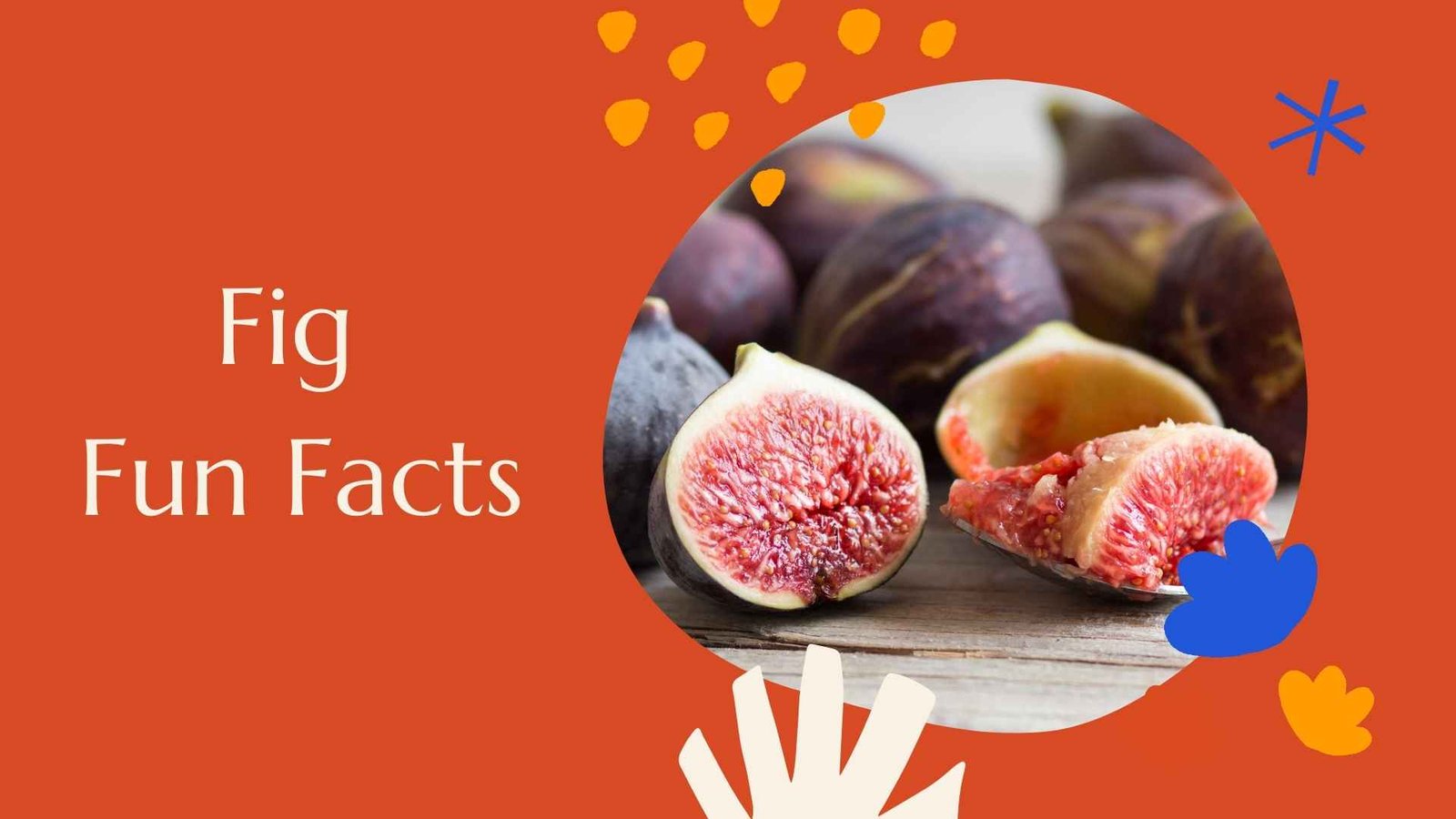 Is Dried Fruit As Healthy As Fresh Fruit?