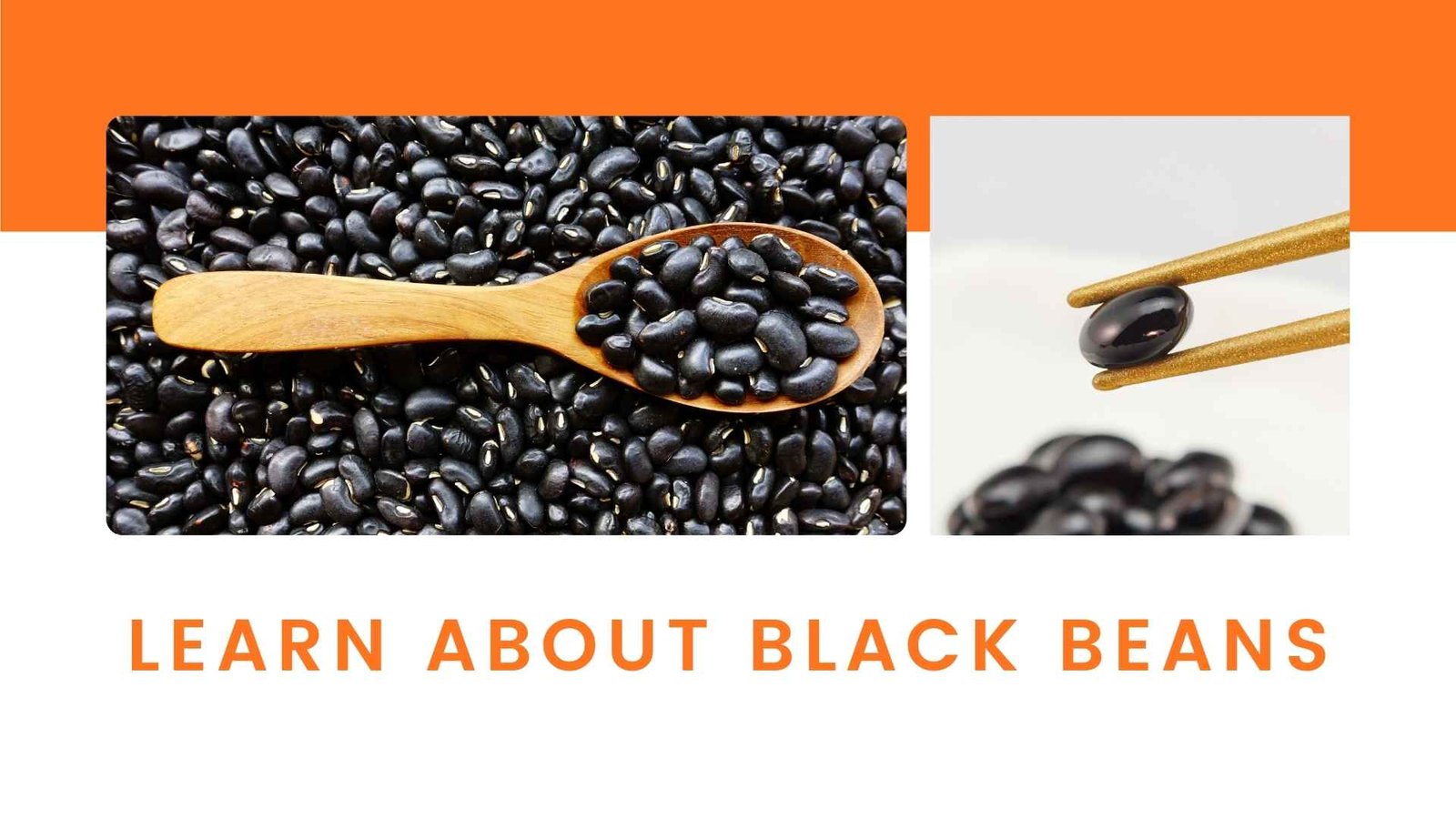 learn about black beans