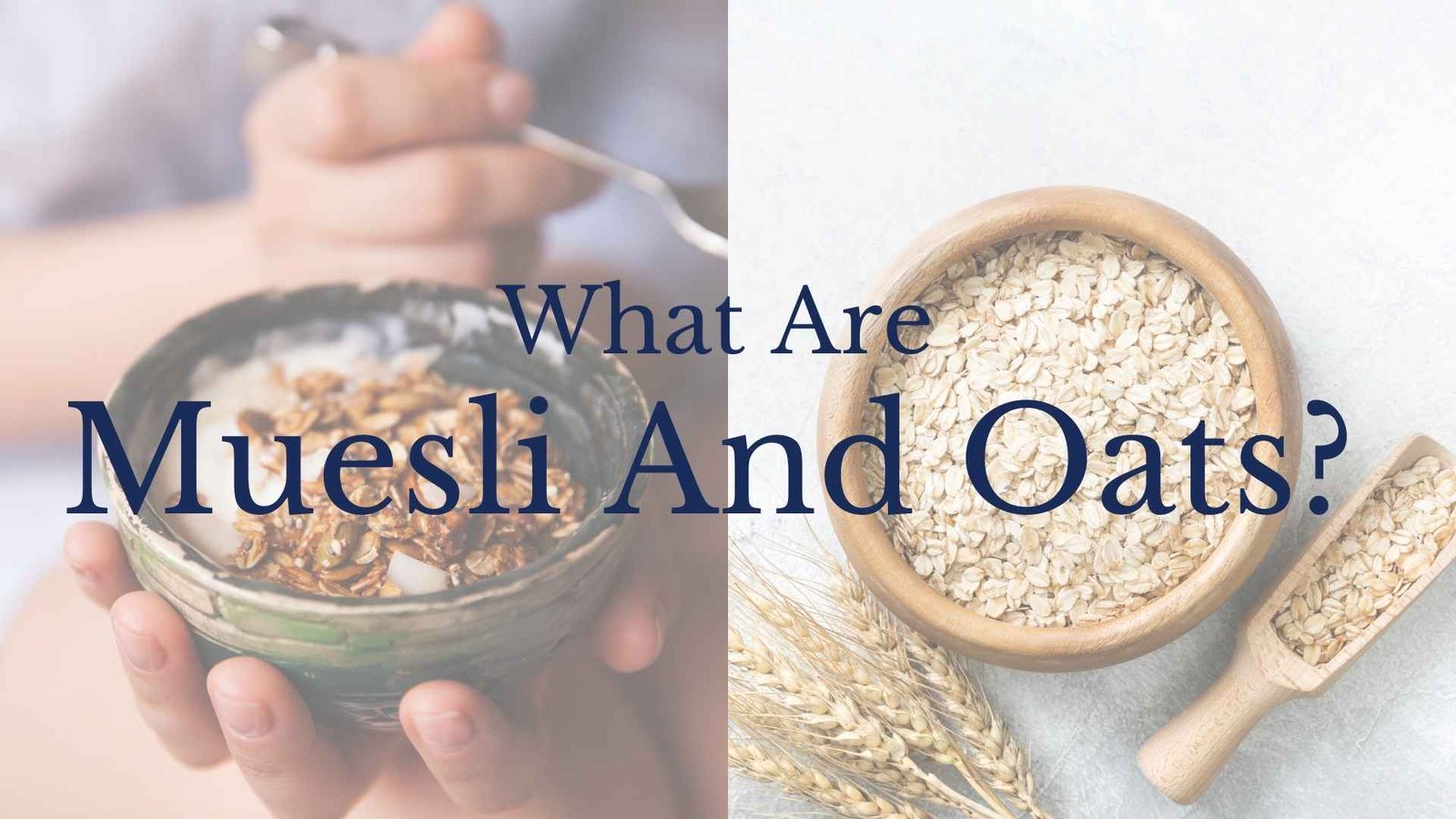 what are muesli and oats