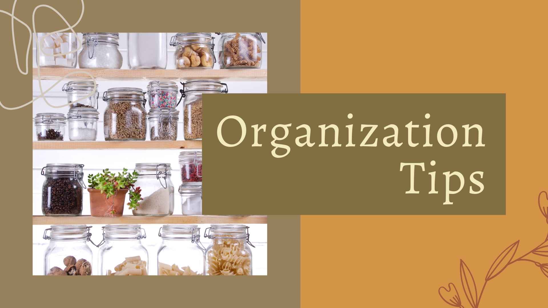 organization tips