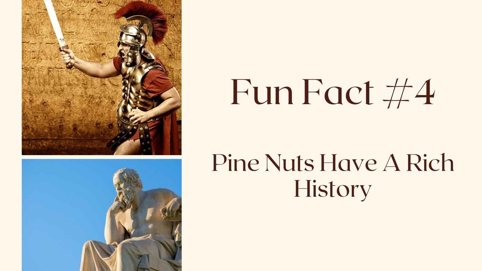 Fun Fact #4 Pine Nuts Have A Rich History 