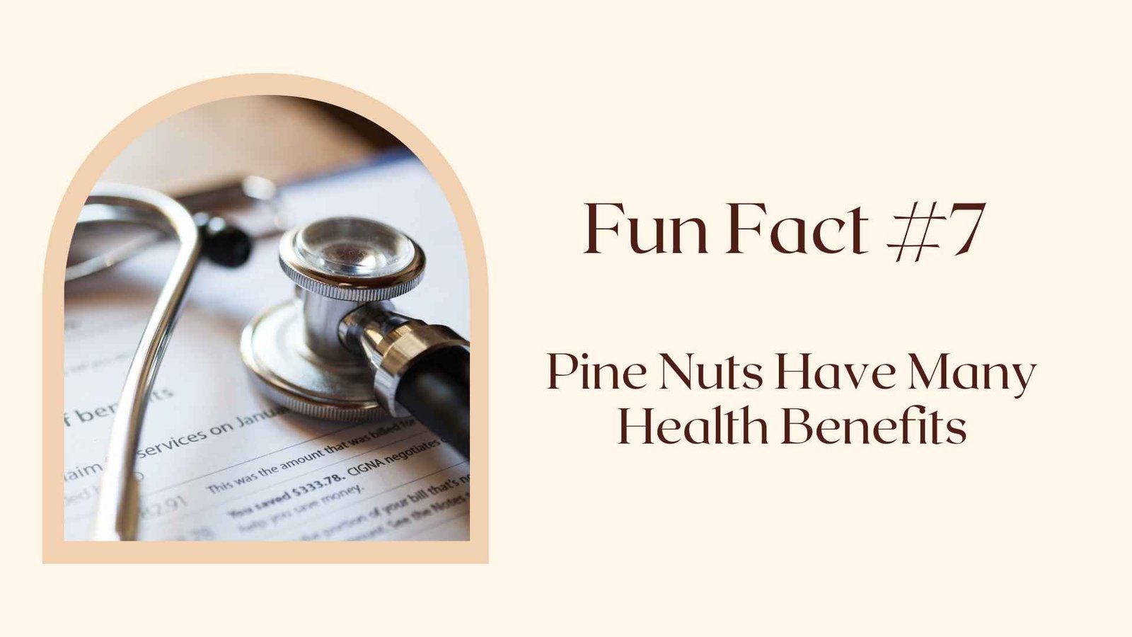 Fun Fact #7 Pine Nuts Have Many Health Benefits 