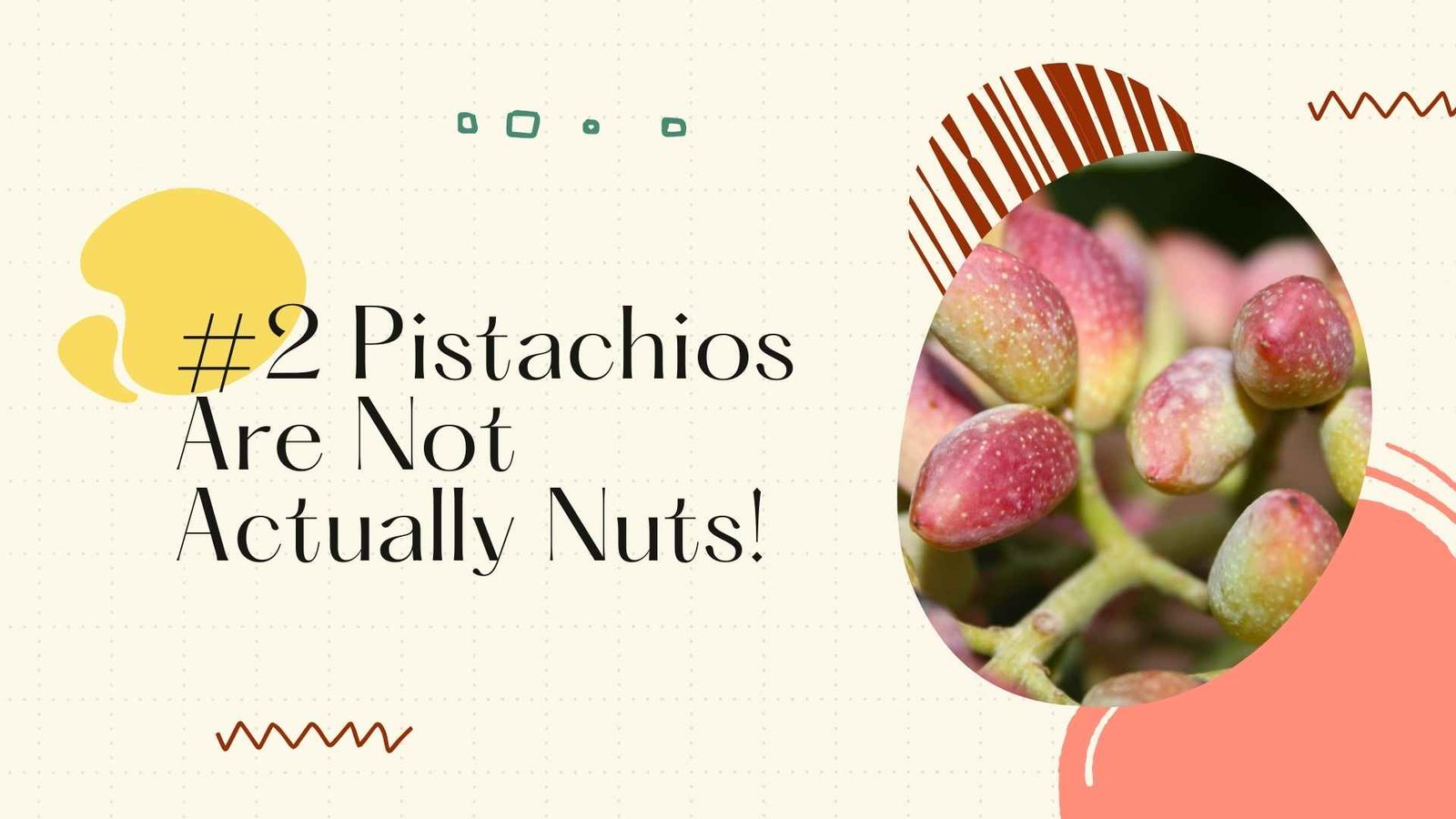 pistachios are not nuts fruits 