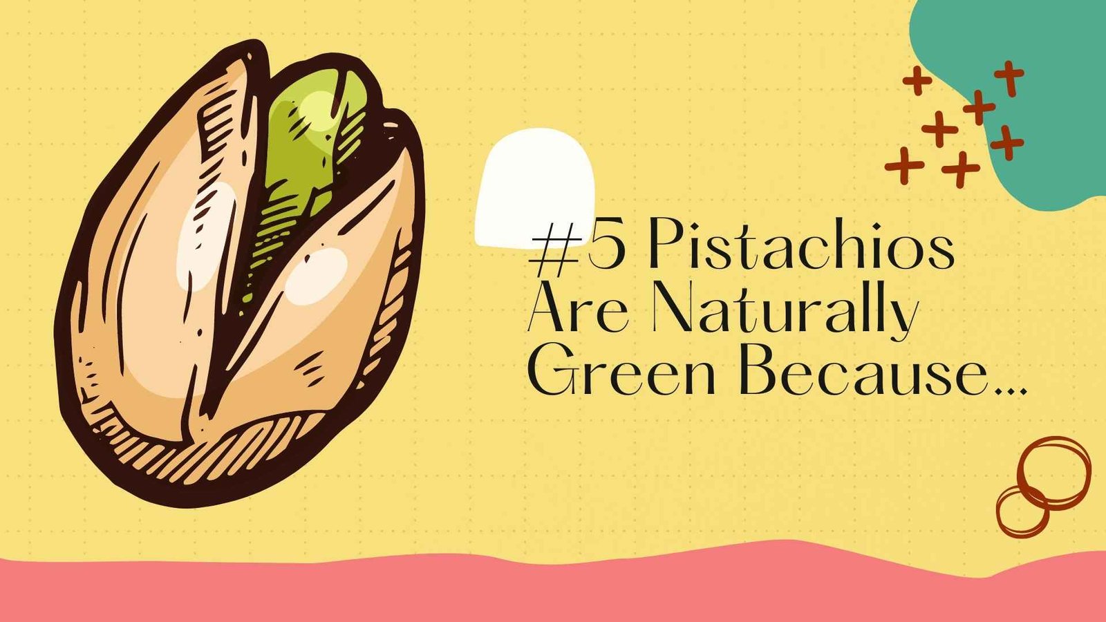 pistachios are green chlorophyll 