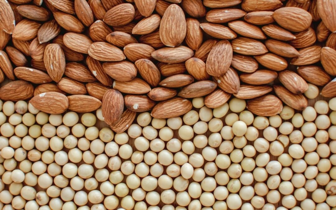 Nuts vs Beans: Unveiling the Nutritional Showdown