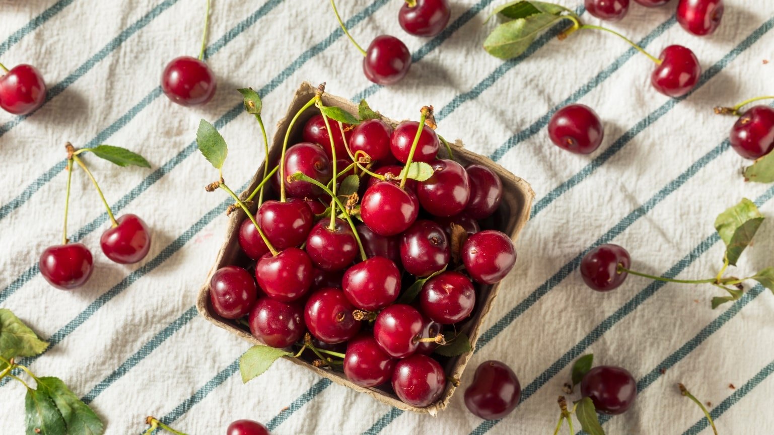 Tart Cherry Benefits usage guide