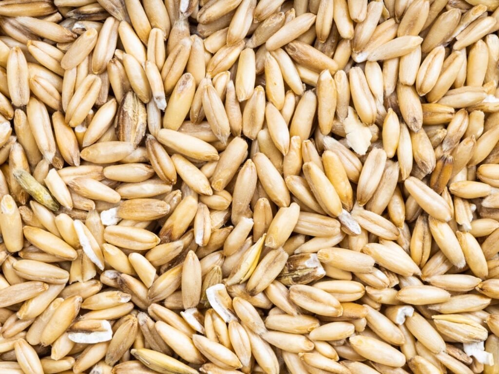 Whole oat groats